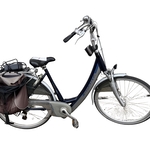 Elektrische fiets, Sparta, ION GL
